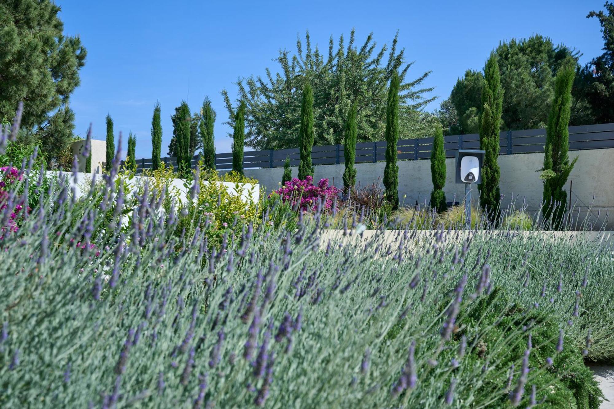 Kyamon Estate Luxury Villa Chania  Buitenkant foto